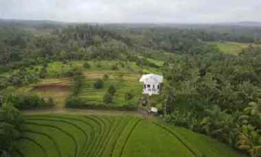 dijual tanah kebun durian murah tempat strategis