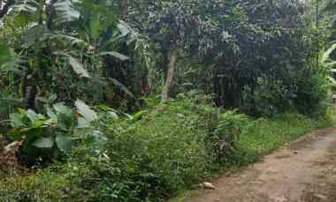Dijual Tanah Kebun Lingkungan Penduduk
