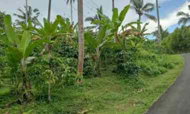 dijual tanah kebun los sungai murah tempat strategis