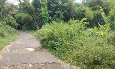 dijual tanah kebun luas dan murah