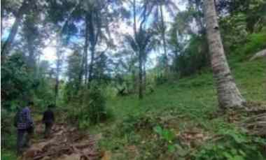 dijual tanah kebun mangatasik desa