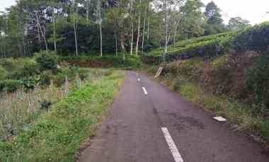 Dijual Tanah Kebun Murah dan Strategis