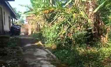 dijual tanah kebun pinggir jalan