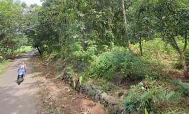 dijual tanah kebun pinggir jalan desa