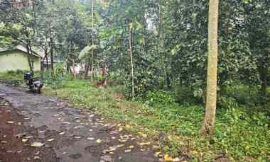 Dijual Tanah Kebun Pinggir Jalan Desa