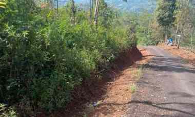 dijual tanah kebun produktif