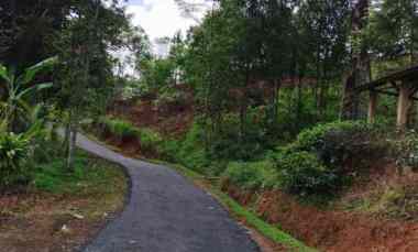 Dijual Tanah Kebun Produktif Pinggir Jalan