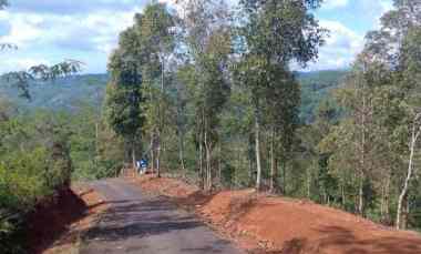 dijual tanah kebun produktif pinggir jalan