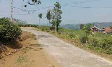 Dijual Tanah Kebun Produktif View Mempesona Investasi Terbaik di Ka
