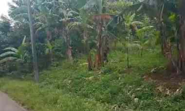 Dijual Tanah Kebun Strategis Pinggir Jalan