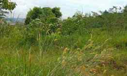 Jual Lahan/Tanah 7.5 Hektare Palaran Samarinda Kaltim A5B1B0