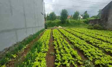 dijual tanah kec parongpong