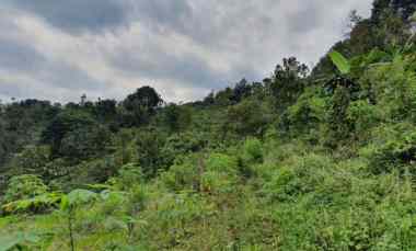 dijual tanah kec wonosalam kab jombang