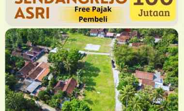 dijual tanah kedungprahu sendangrejo