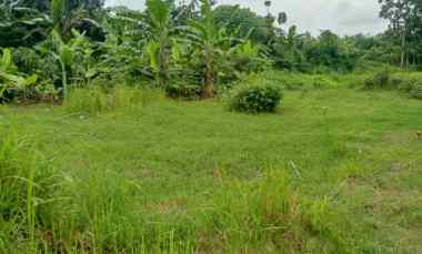 dijual tanah kedungsukun