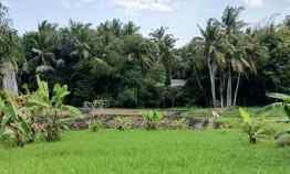 Tanah di Kedungu View Sawah 15 menit dari Canggu Bali