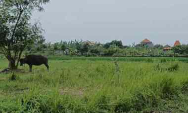 dijual tanah kedungu utara