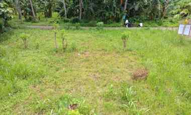 dijual tanah kelurahan kedayunan kec