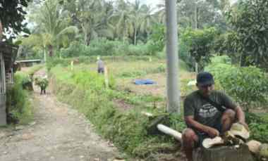 Tanah Kebun 2.800 m2, Masuk Mobil,Depan Kel. Sigedong,Mancak Serang