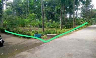 dijual tanah kemalang dekat pasar durian