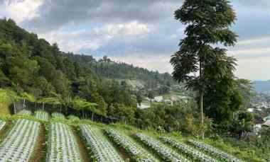 dijual tanah kemuning karanganyar