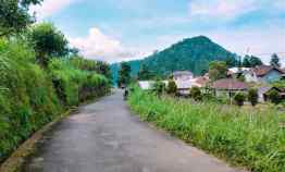 dijual tanah kemuning ngargoyoso