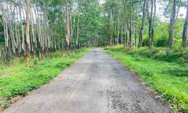 Tanah Dijual di Kemuning, Ngargoyoso, Karanganyar