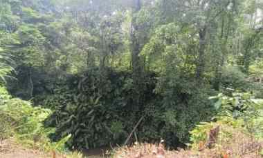 dijual tanah kenderan gianyar bali