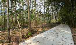 Dijual Tanah dekat Aliran Sungai Pegunungan Karanganyar