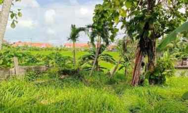 dijual tanah kerobokan canggu