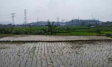 dijual tanah kertamulya