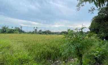 dijual tanah ketewel sukawati