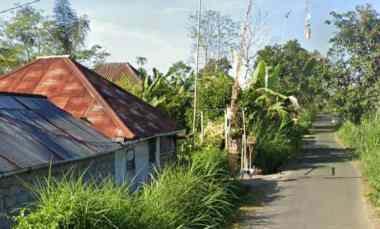 Tanah Harga Murah di Kintamani Bali Bisa untuk Peternakan