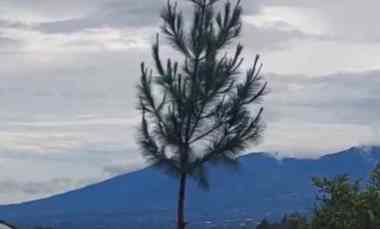 Tanah Dijual di Kintamani, Bangli, Bali