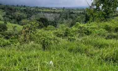 dijual tanah kintamani bangli bali