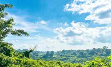dijual tanah klari