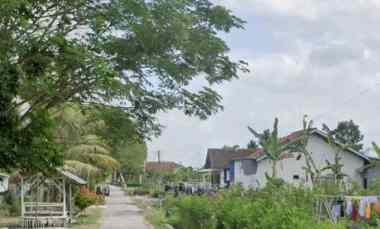 dijual tanah klatakan tanggul jember