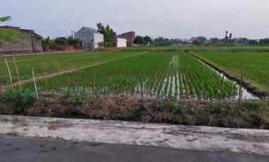 dijual tanah klaten