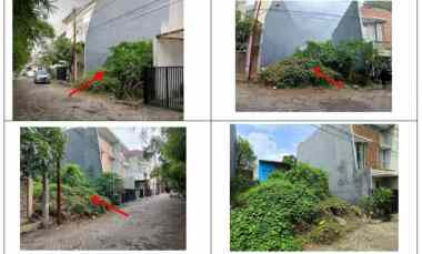 dijual tanah koala regency