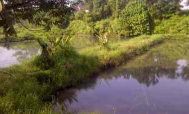 Tanah Murah Bojonggede 2659m SHM