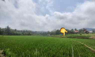 dijual tanah komersial jalan nasional tabanan bali