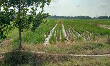 dijual tanah kosong dekat itb arjawinangun