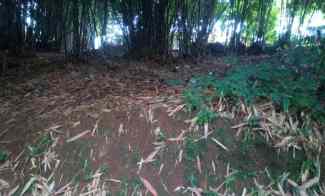 2720 m2 6,8 Patok Kebun Bambu Hook di Desa Rende, Cikalong Wetan