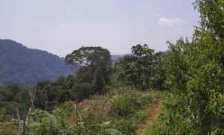 595.245 m2 Tanah Berbukit Cocok untuk Agrowisata, Capunagara, Cisalak