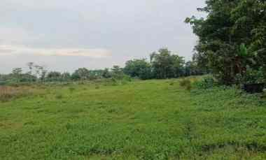 dijual tanah kp jati ilir 1 tunggakjati