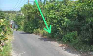 dijual tanah kutuh ungasan goa gong