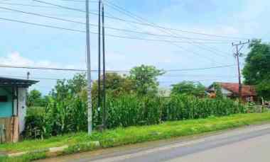 dijual tanah labuhan badas sumbawa