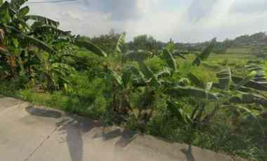 dijual tanah lakardowo