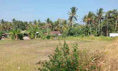 Dijual Tanah Strategis di Pinggir Jalan Utama Dps - Gilimanuk