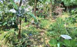 Tanah Kavling Murah Strategis Luas di Landungsari Malang